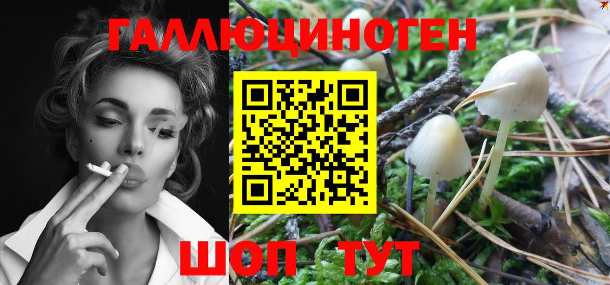 Галлюциногенные грибы GOLDEN TEACHER Белогорск