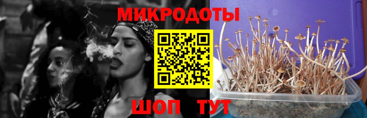 Белогорск  Псилоцибиновые грибы мухоморы  даркнет сайт  Псилоцибиновые грибы Psilocybine cubensis  Вход с VPN 
